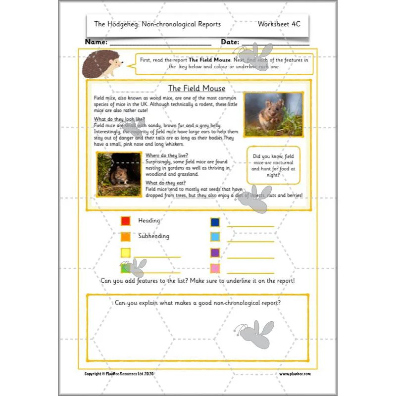 The Hodgeheg: Non-chronological Reports - Image 12
