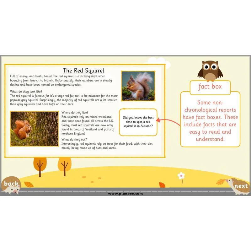 The Hodgeheg: Non-chronological Reports - Image 45