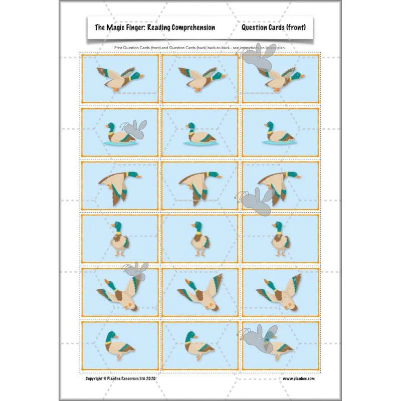 The Magic Finger: Reading Comprehension - Image 26