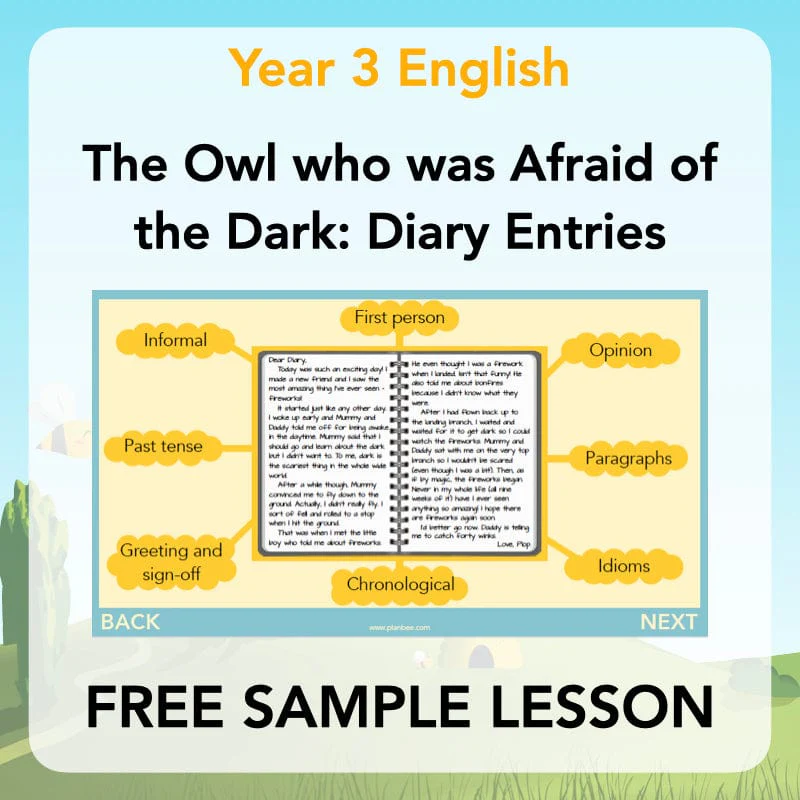 FREE Mini-scheme: The Owl Who was Afraid of the Dark: Diary Entries