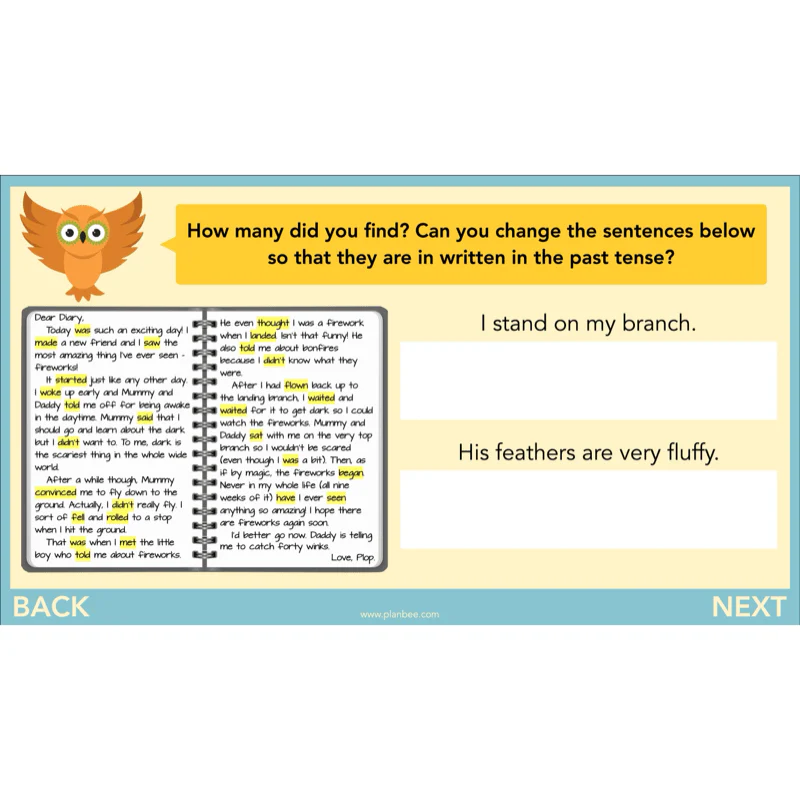 FREE Mini-scheme: The Owl Who was Afraid of the Dark: Diary Entries - Image 14
