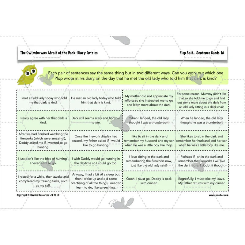 FREE Mini-scheme: The Owl Who was Afraid of the Dark: Diary Entries - Image 19