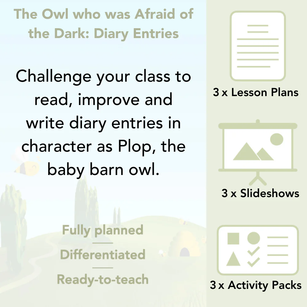 FREE Mini-scheme: The Owl Who was Afraid of the Dark: Diary Entries - Image 2