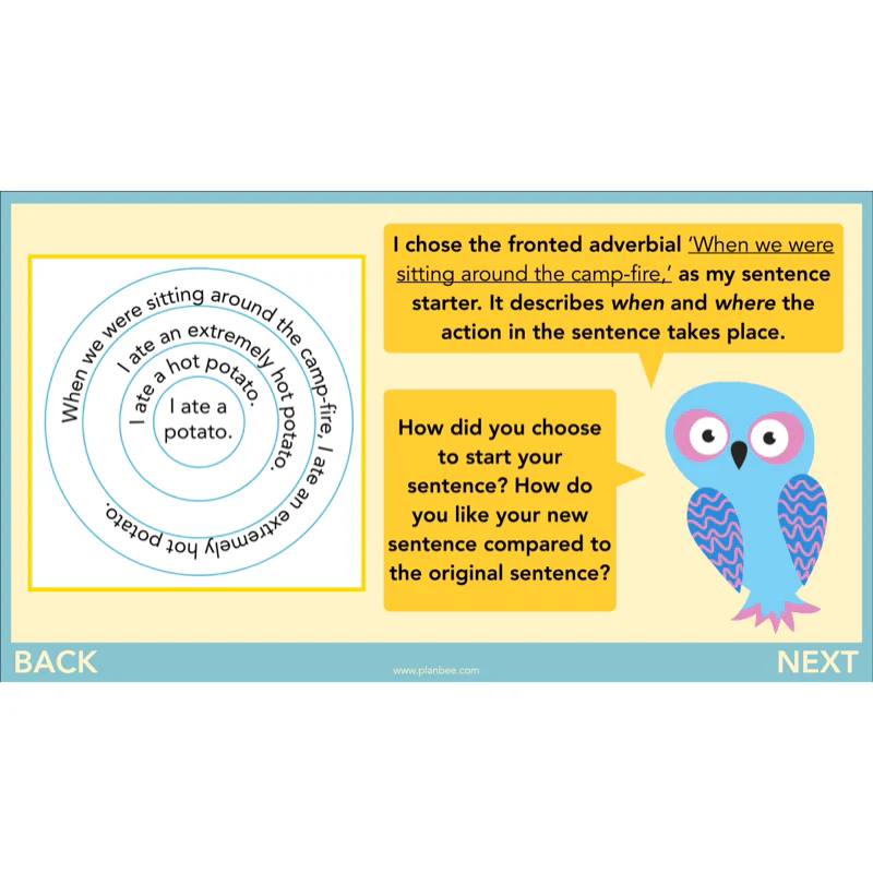 FREE Mini-scheme: The Owl Who was Afraid of the Dark: Diary Entries - Image 25