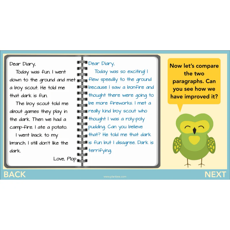 FREE Mini-scheme: The Owl Who was Afraid of the Dark: Diary Entries - Image 5