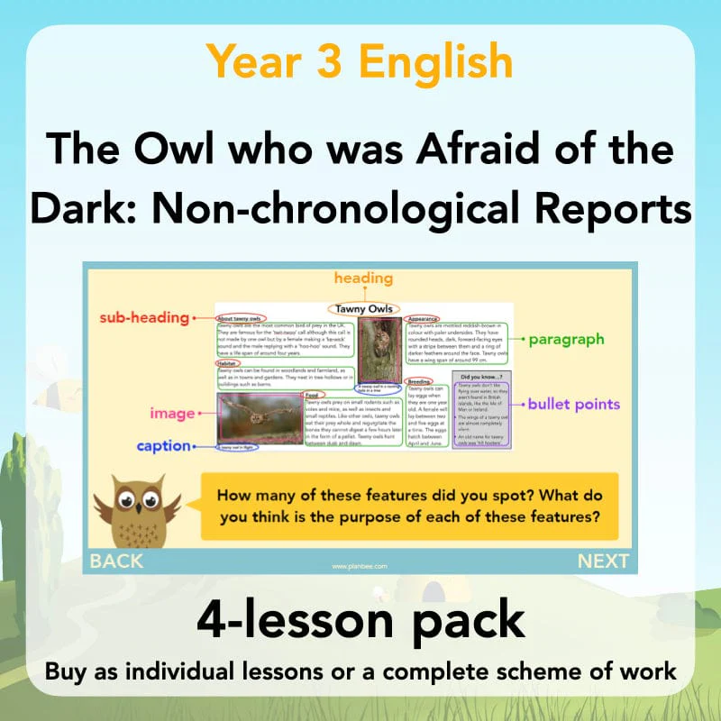 The Owl who was Afraid of the Dark: Non-chronological Reports