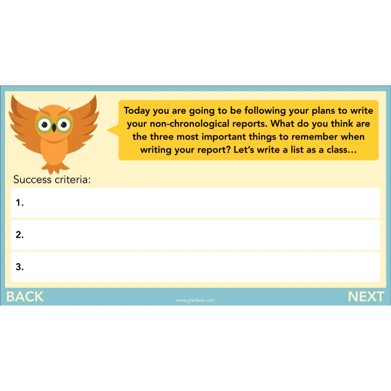 The Owl who was Afraid of the Dark: Non-chronological Reports - Image 10