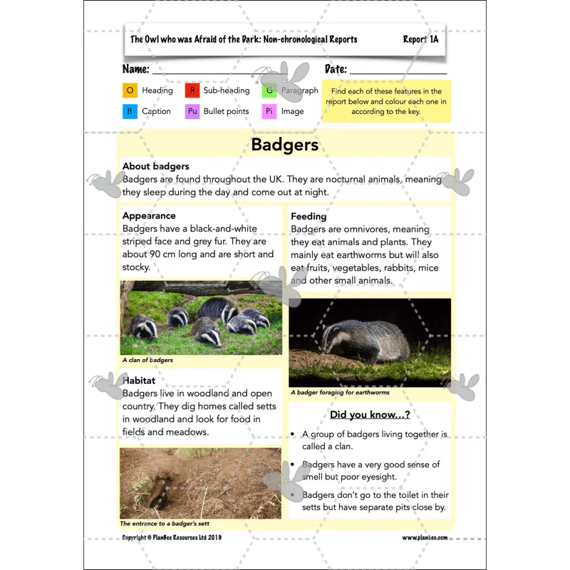 The Owl who was Afraid of the Dark: Non-chronological Reports - Image 11