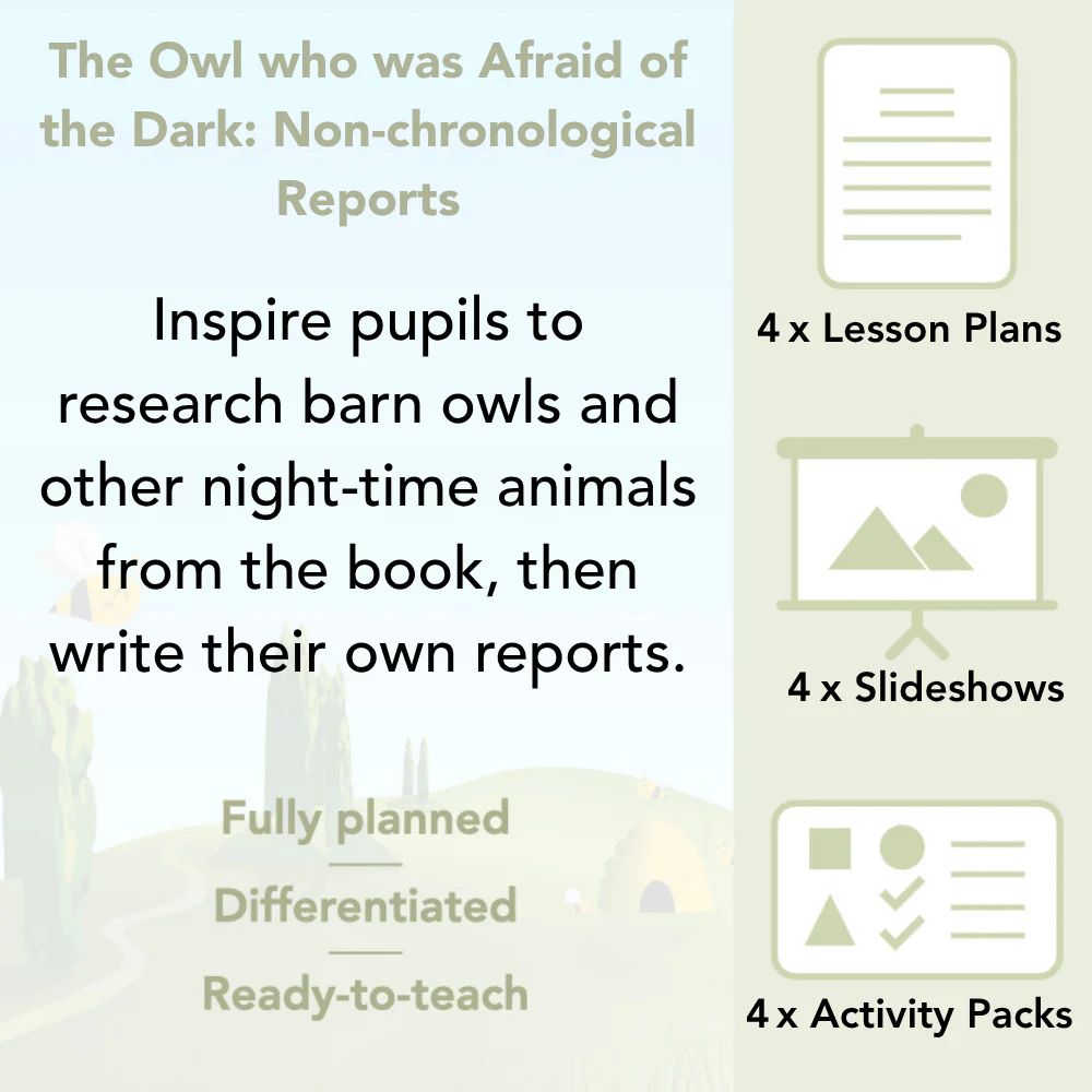 The Owl who was Afraid of the Dark: Non-chronological Reports - Image 2