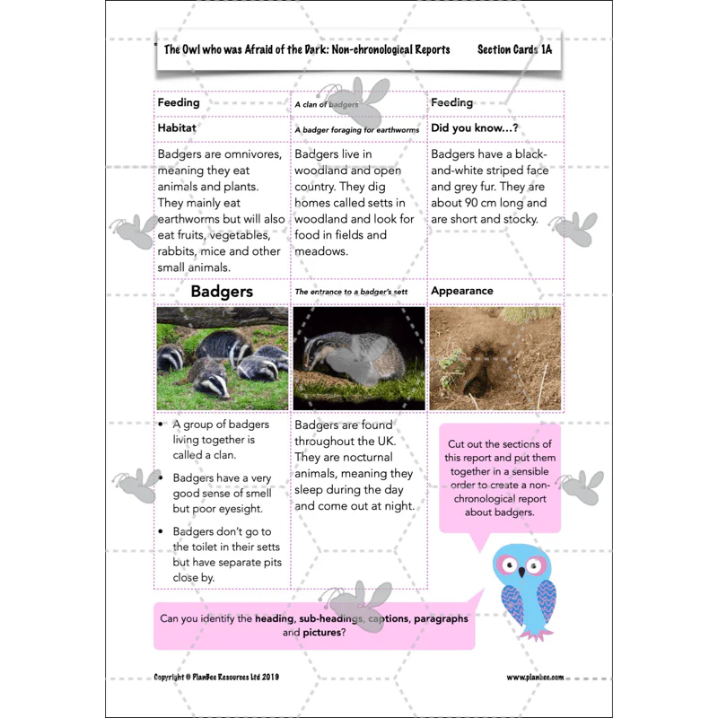 The Owl who was Afraid of the Dark: Non-chronological Reports - Image 23