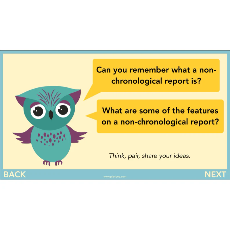 The Owl who was Afraid of the Dark: Non-chronological Reports - Image 25