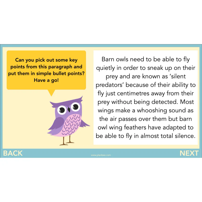 The Owl who was Afraid of the Dark: Non-chronological Reports - Image 27