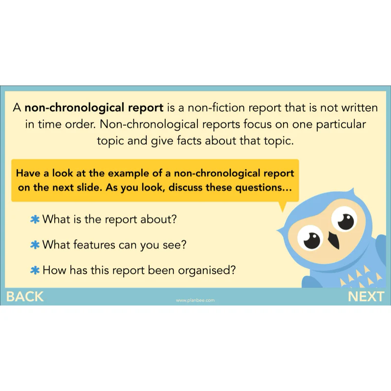 The Owl who was Afraid of the Dark: Non-chronological Reports - Image 3