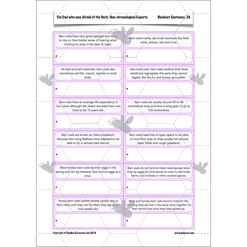 The Owl who was Afraid of the Dark: Non-chronological Reports - Image 30
