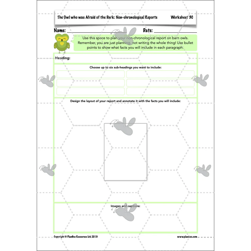 The Owl who was Afraid of the Dark: Non-chronological Reports - Image 38