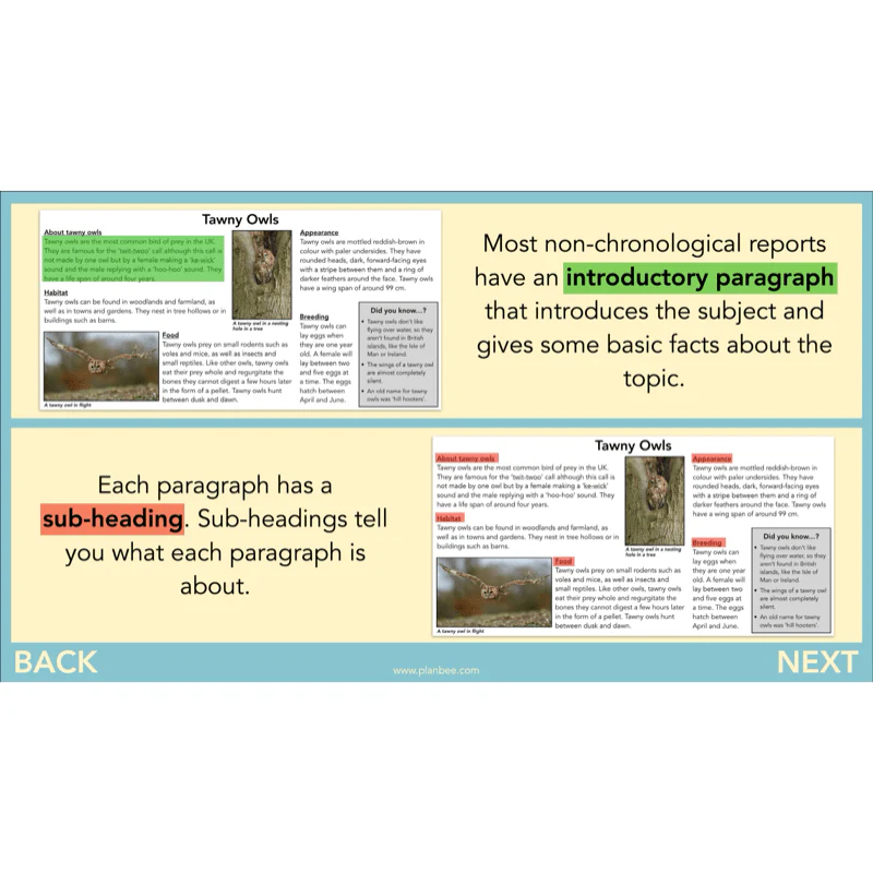 The Owl who was Afraid of the Dark: Non-chronological Reports - Image 4