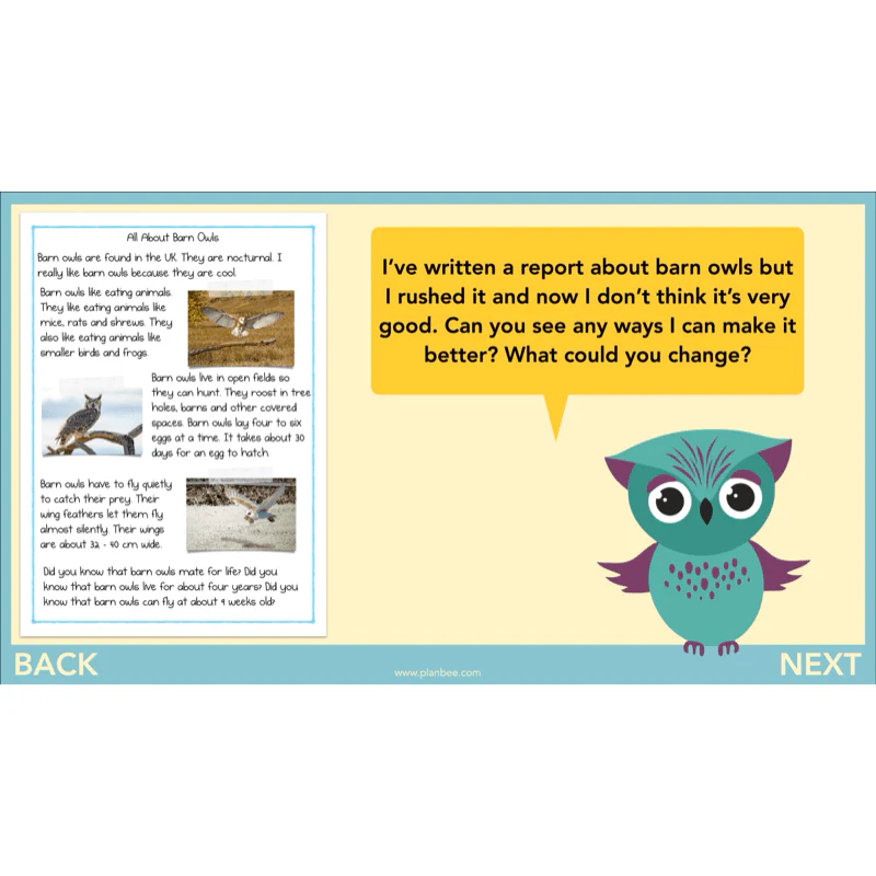 The Owl who was Afraid of the Dark: Non-chronological Reports - Image 41