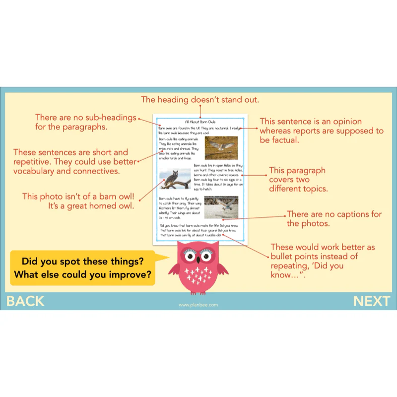 The Owl who was Afraid of the Dark: Non-chronological Reports - Image 42