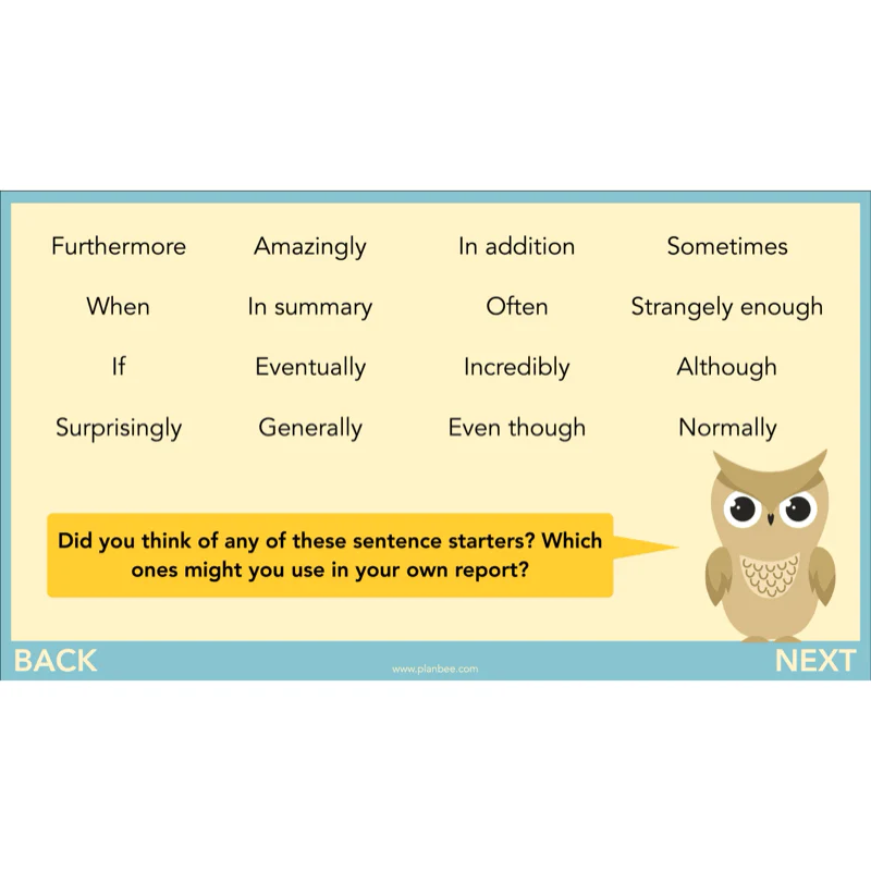 The Owl who was Afraid of the Dark: Non-chronological Reports - Image 43