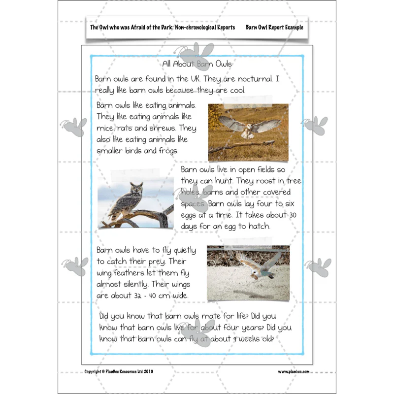 The Owl who was Afraid of the Dark: Non-chronological Reports - Image 45