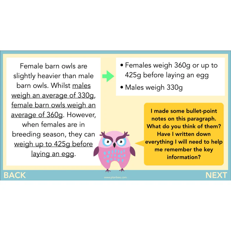 The Owl who was Afraid of the Dark: Non-chronological Reports - Image 6