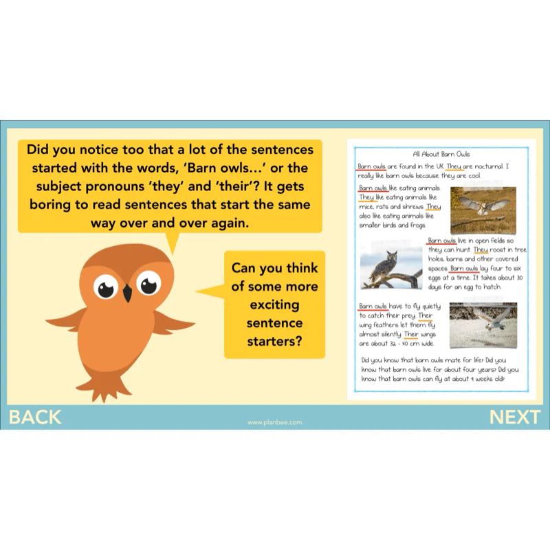 The Owl who was Afraid of the Dark: Non-chronological Reports - Image 9