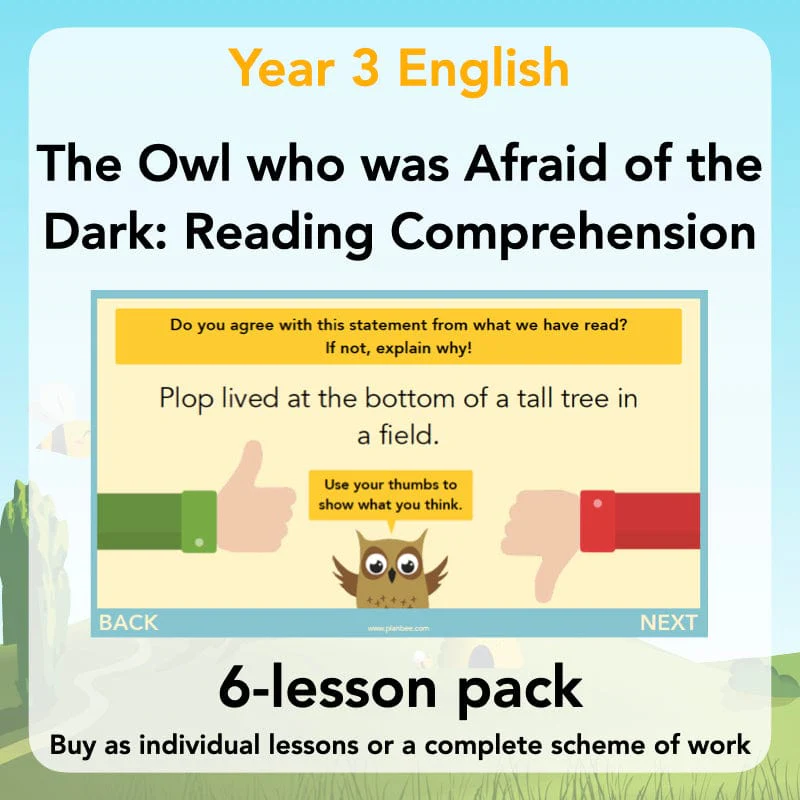 The Owl who was Afraid of the Dark: Reading Comprehension