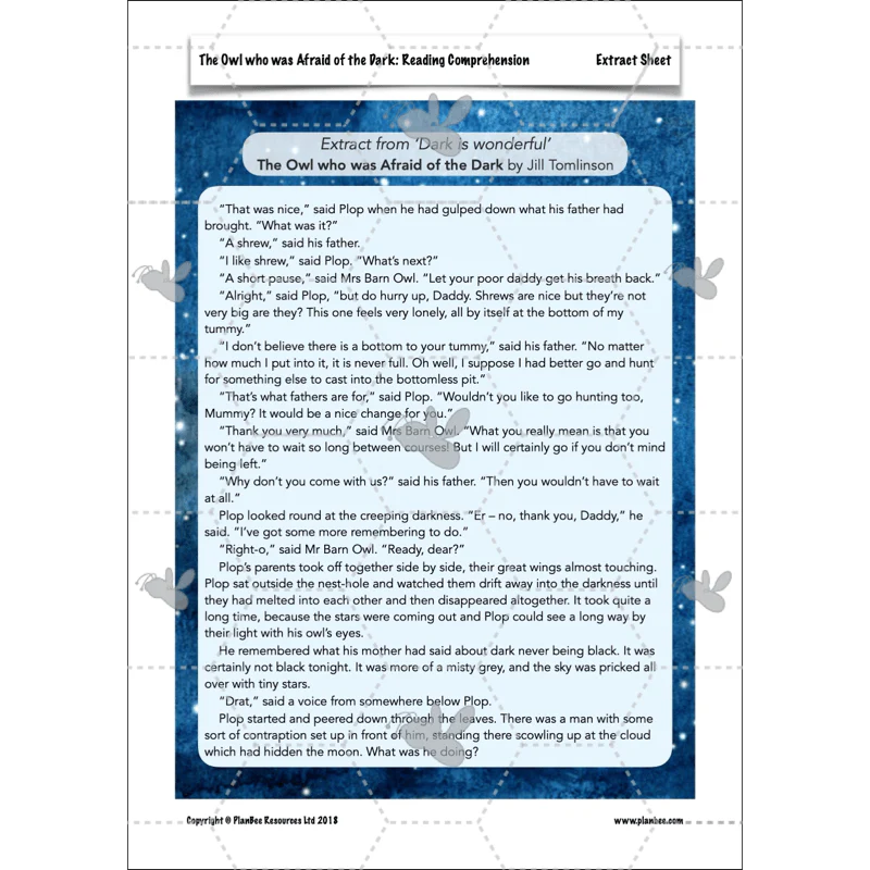 The Owl who was Afraid of the Dark: Reading Comprehension - Image 18