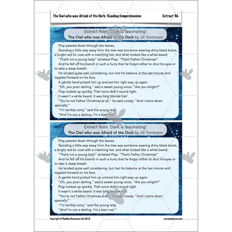The Owl who was Afraid of the Dark: Reading Comprehension - Image 44