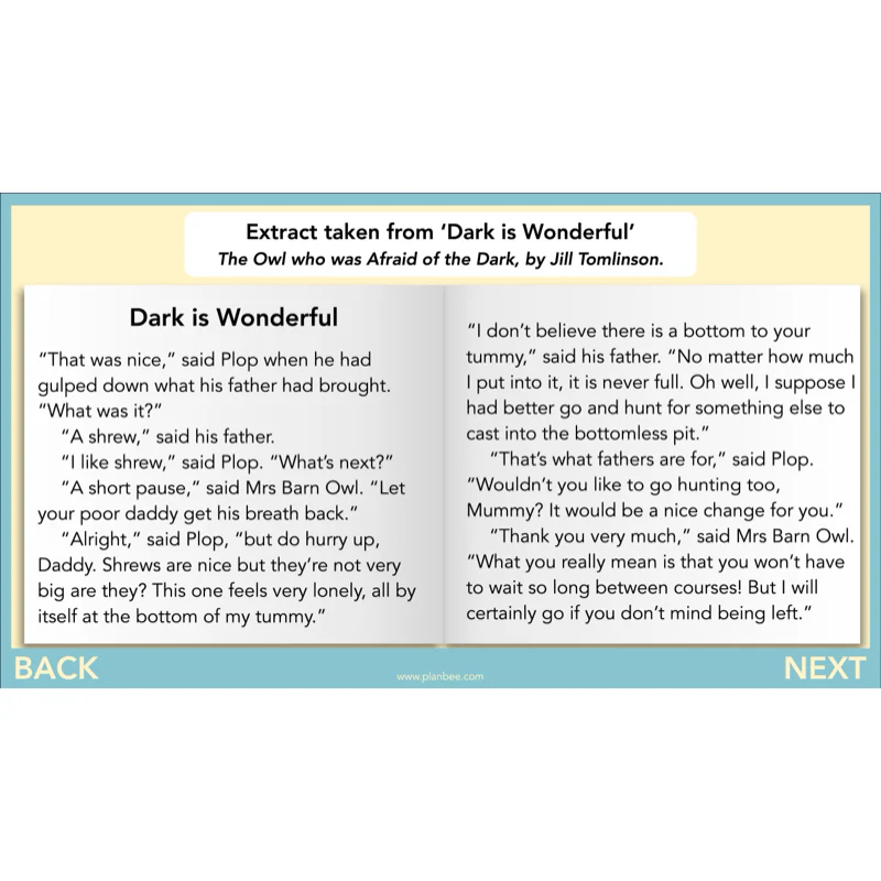 The Owl who was Afraid of the Dark: Reading Comprehension - Image 50