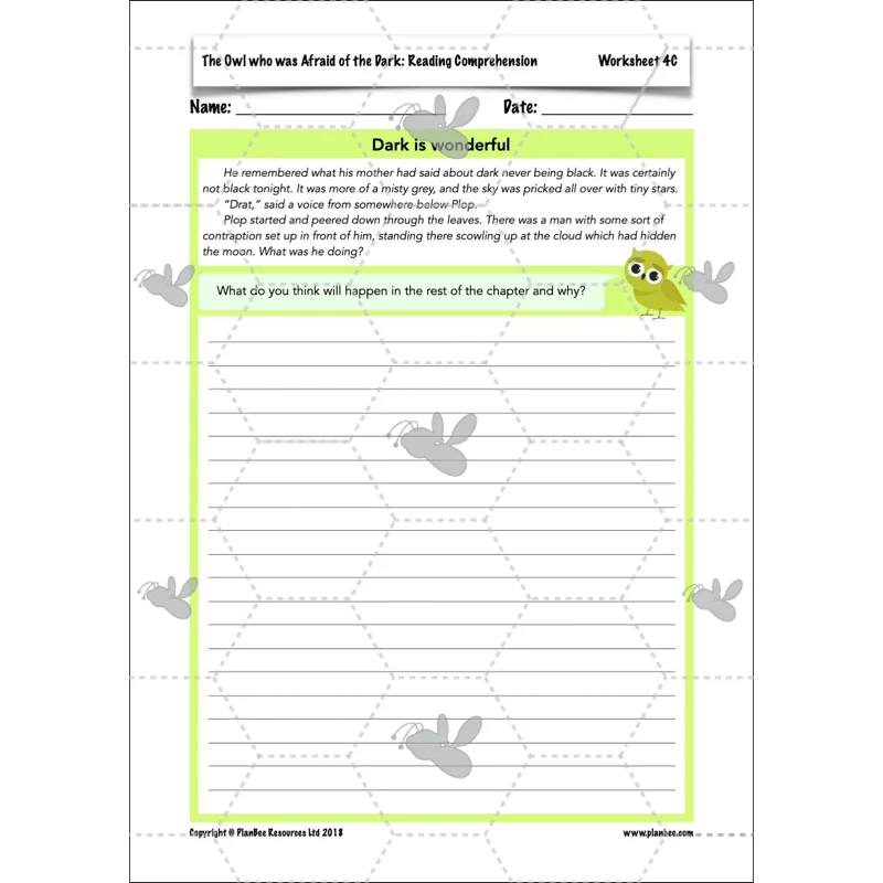 The Owl who was Afraid of the Dark: Reading Comprehension - Image 53
