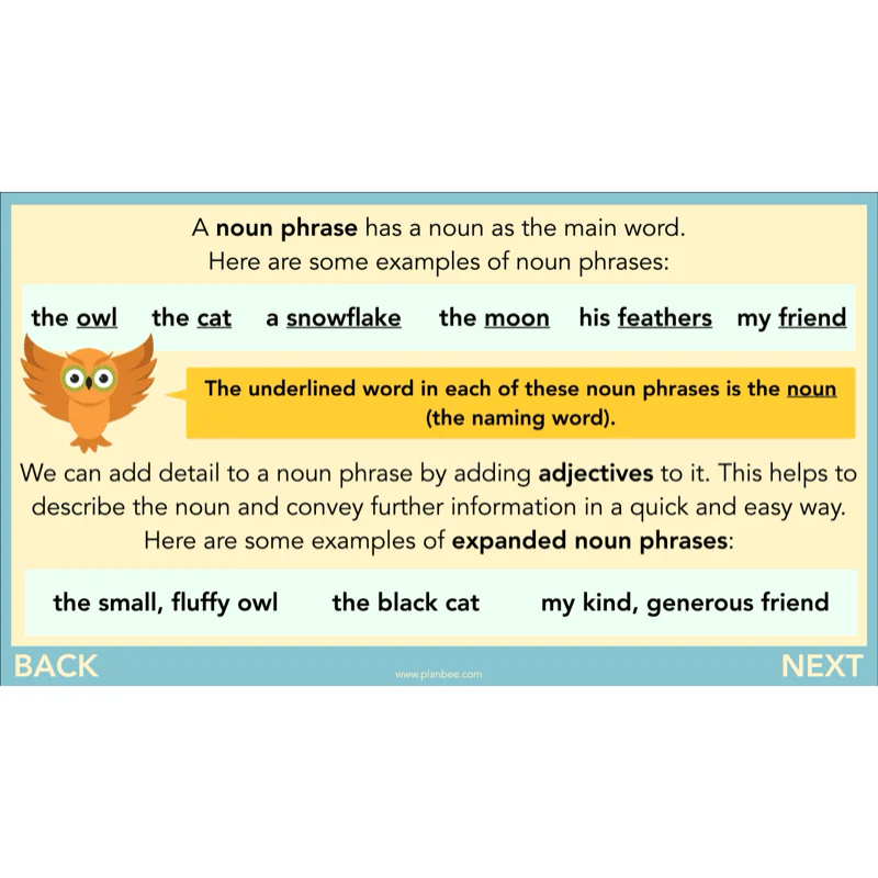 The Owl who was Afraid of the Dark: Reading Comprehension - Image 55