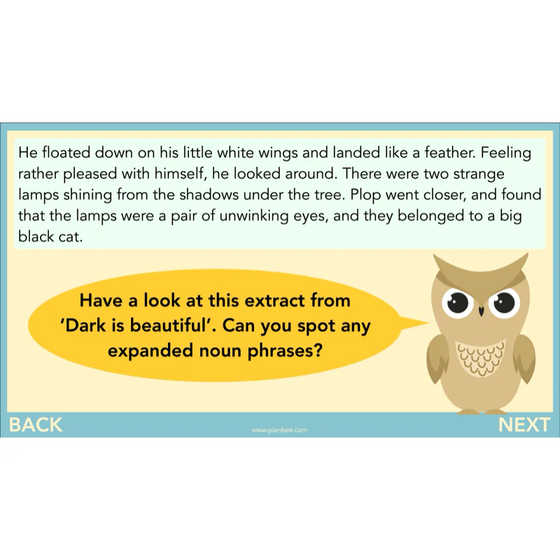 The Owl who was Afraid of the Dark: Reading Comprehension - Image 56