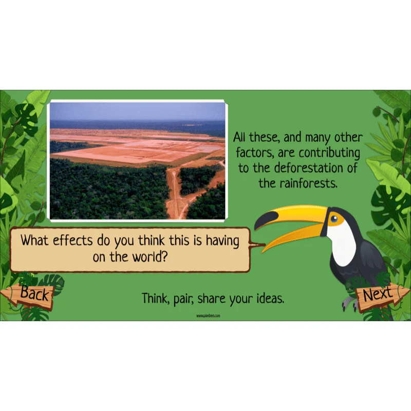 The Rainforest Biome - Image 12