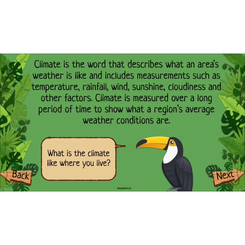 The Rainforest Biome - Image 37