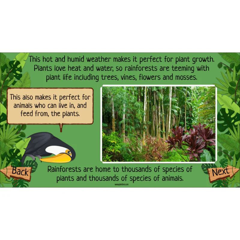 The Rainforest Biome - Image 5
