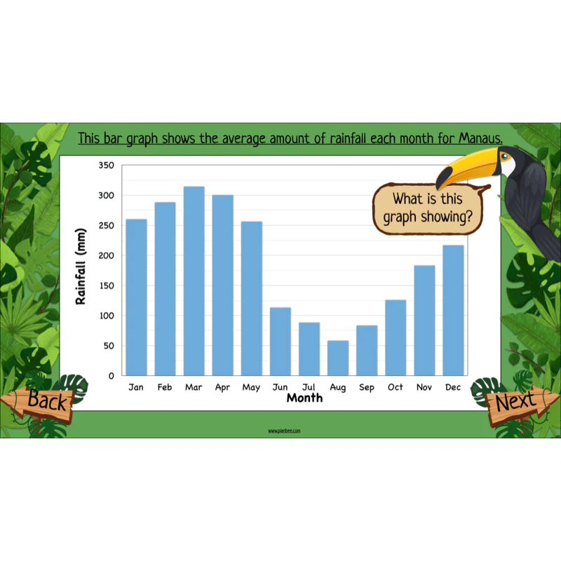 The Rainforest Biome - Image 7