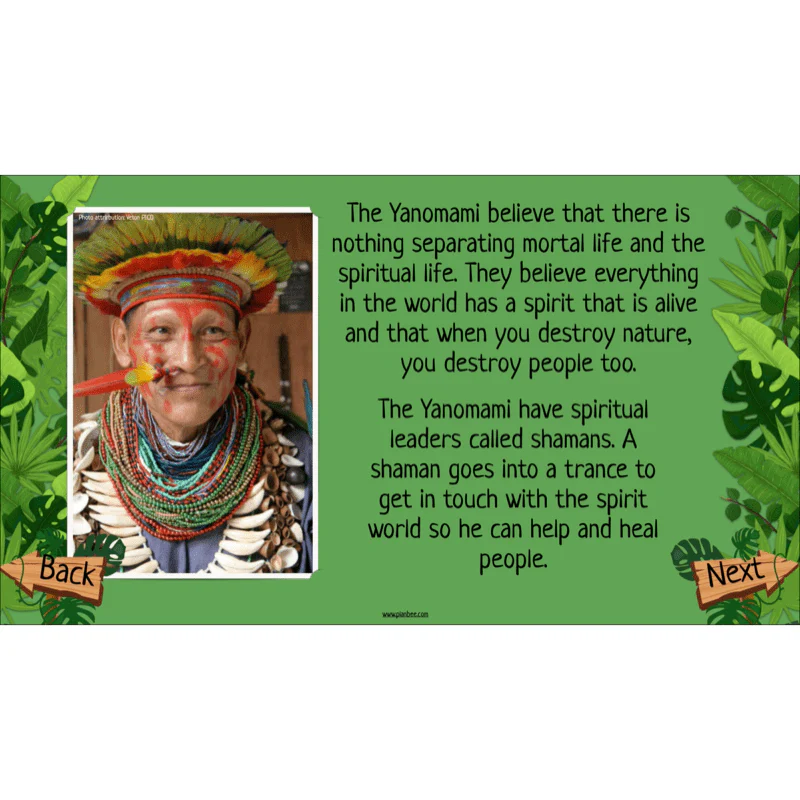 The Rainforest Biome - Image 9