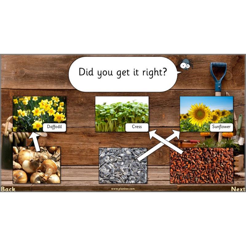 The Secret World of Plants - Image 28
