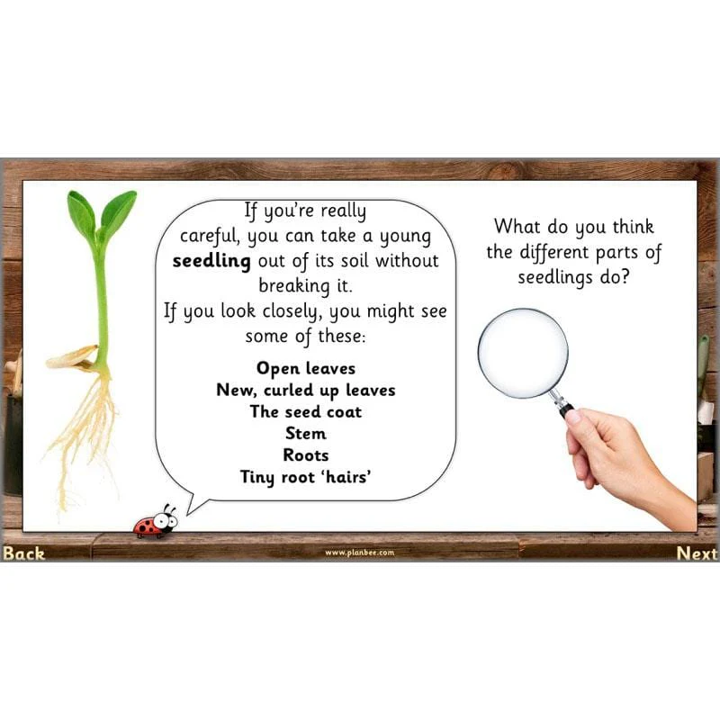 The Secret World of Plants - Image 36