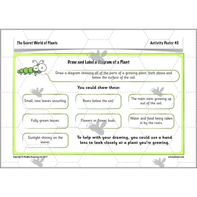 The Secret World of Plants - Image 55