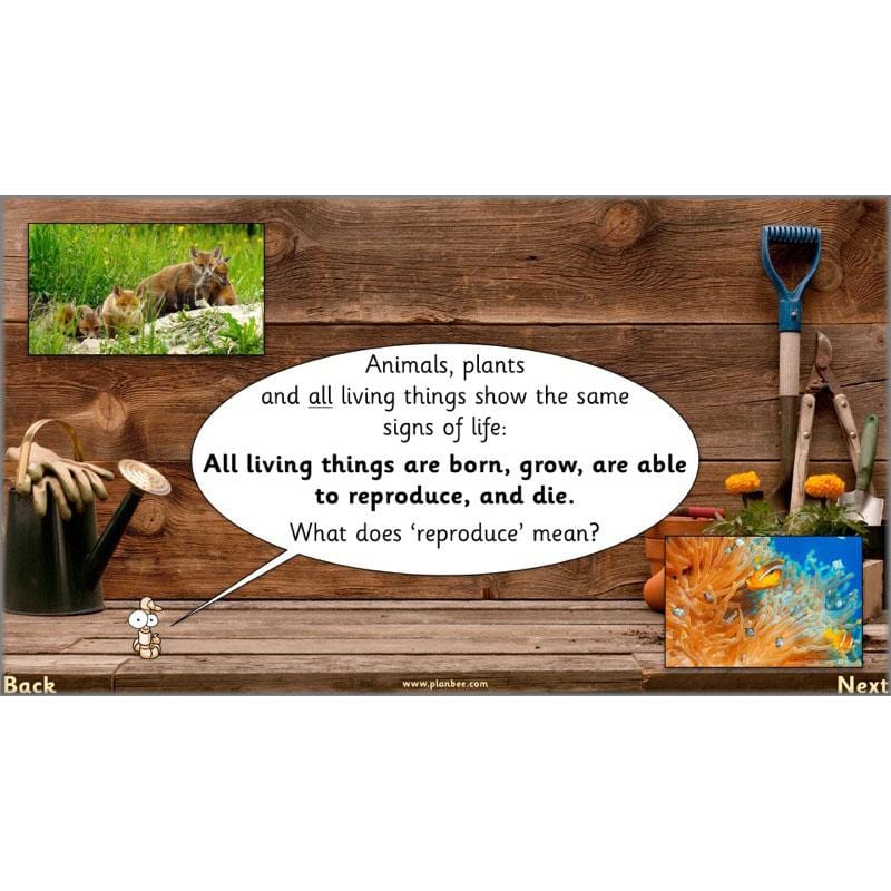 The Secret World of Plants - Image 9