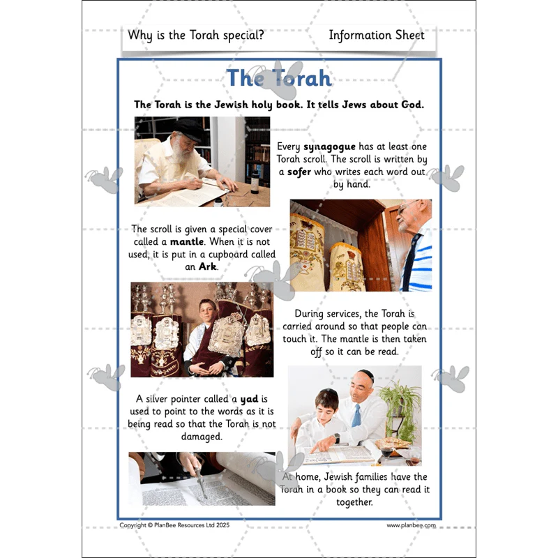Why is the Torah special? - Image 17