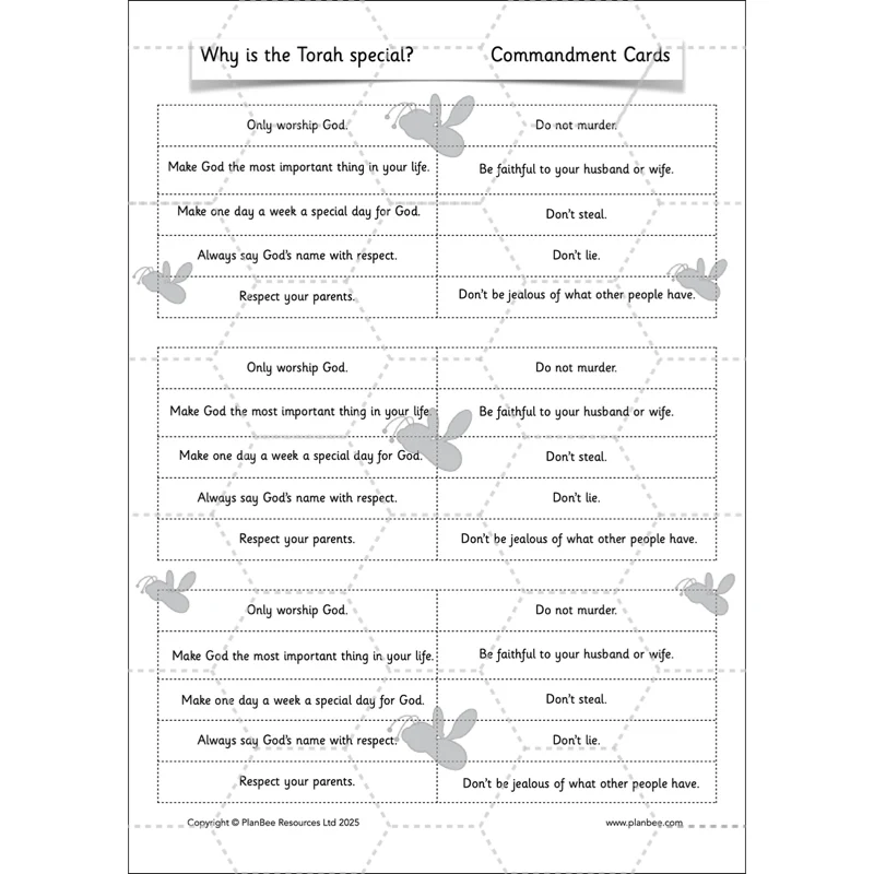 Why is the Torah special? - Image 38