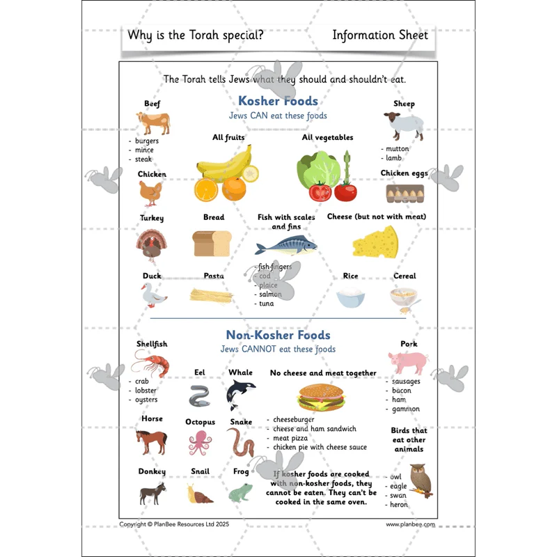 Why is the Torah special? - Image 62