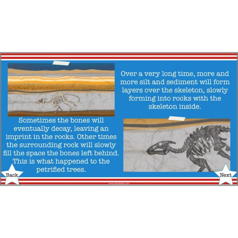 The Unforgettable Science of America - Image 35