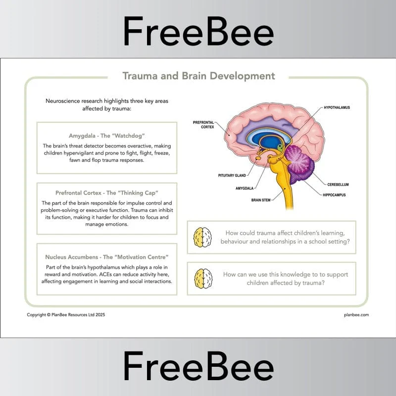 Trauma Informed Teaching Pack - Image 2
