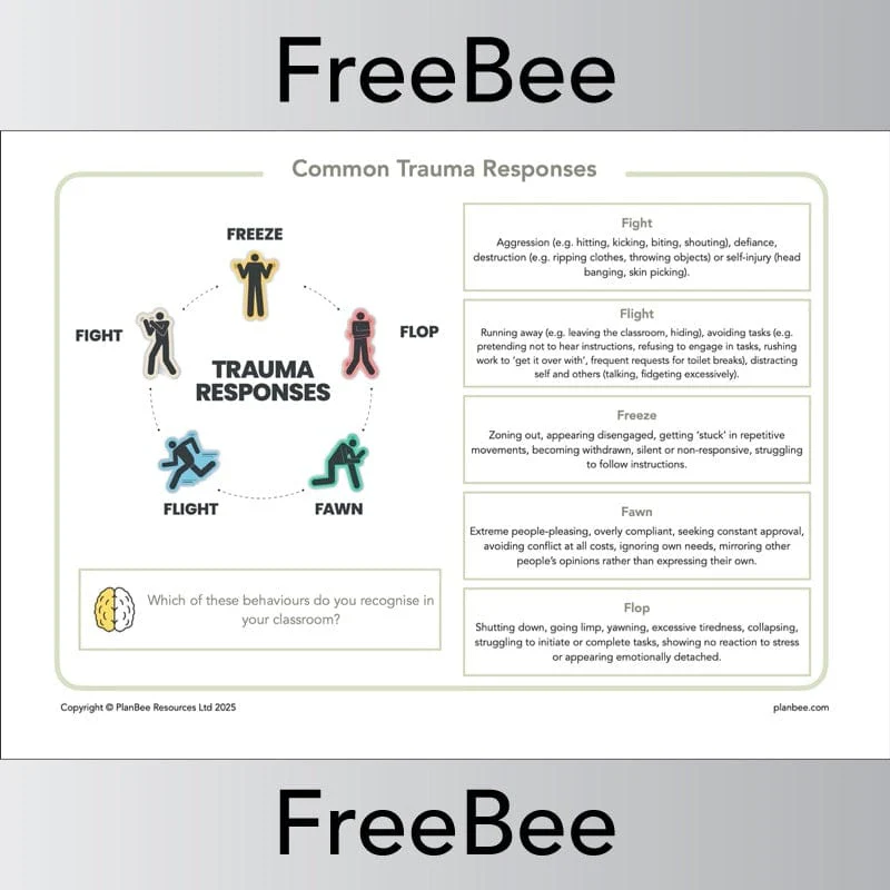 Trauma Informed Teaching Pack - Image 4