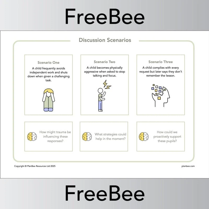 Trauma Informed Teaching Pack - Image 5