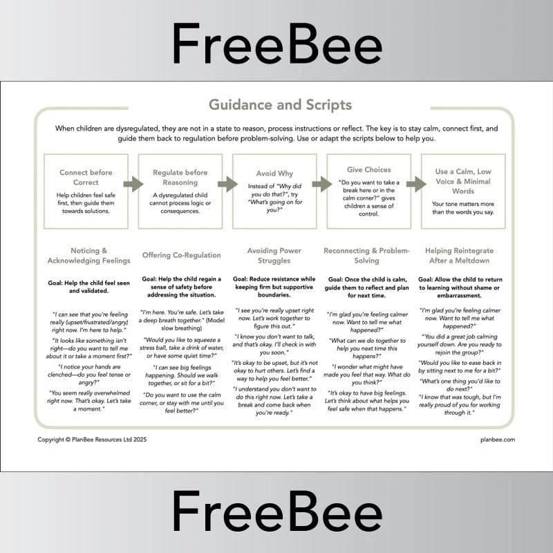 Trauma Informed Teaching Pack - Image 6